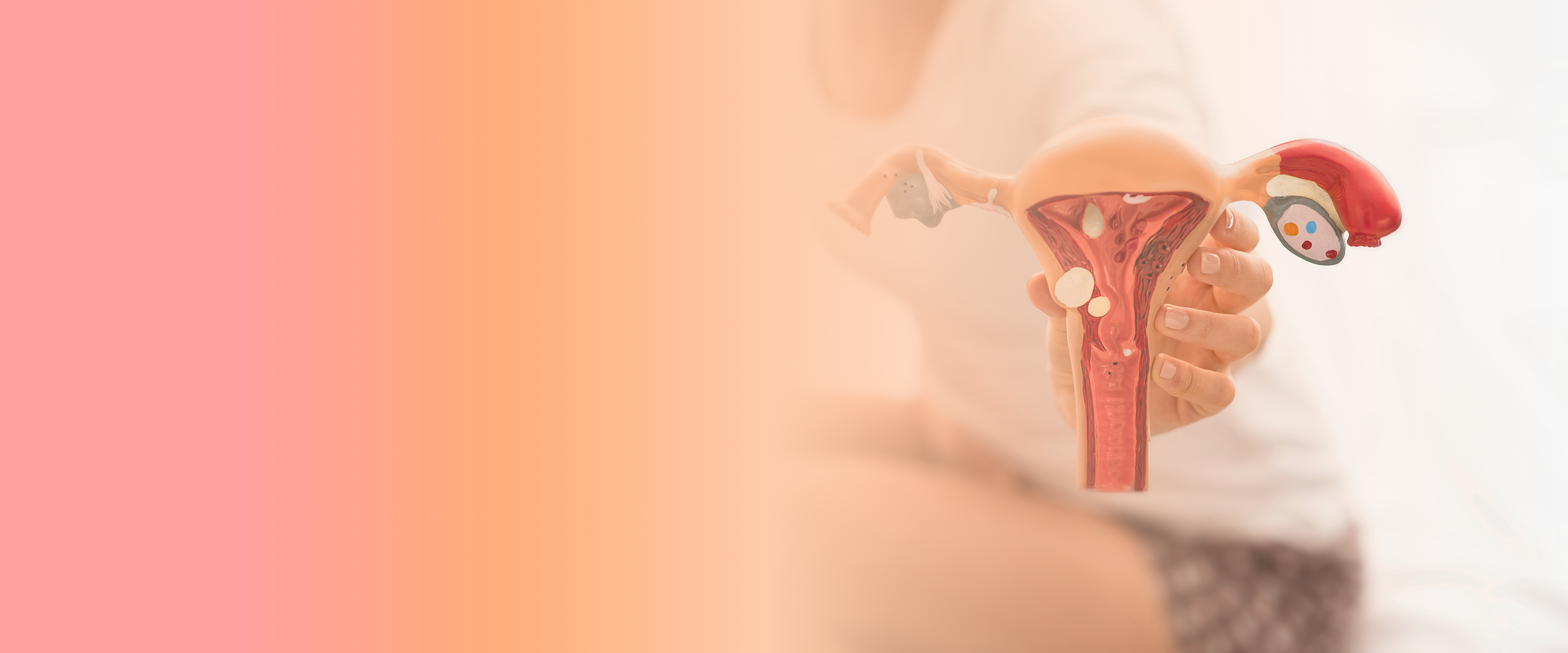 Ovarian Function Decline: The Science Behind Menopause Onset